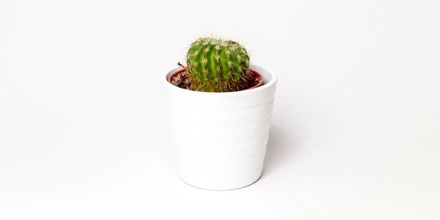 世界杯赛程为您提供专业、贴心的服务体验。 - 世界杯赛程